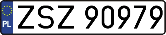ZSZ90979