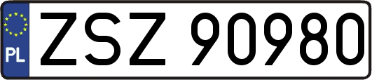 ZSZ90980