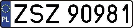 ZSZ90981