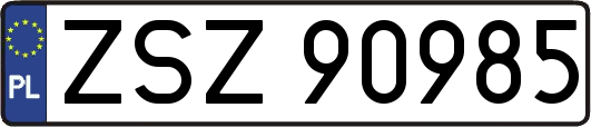 ZSZ90985