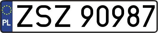 ZSZ90987