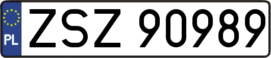 ZSZ90989