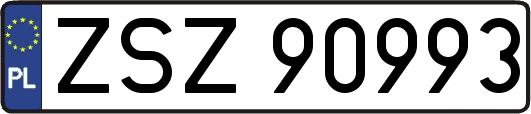 ZSZ90993