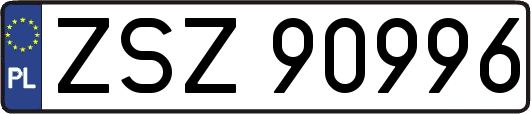ZSZ90996