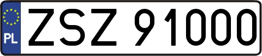 ZSZ91000