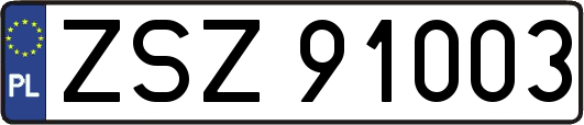 ZSZ91003