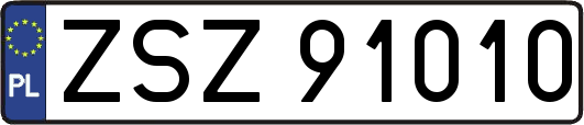 ZSZ91010