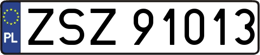 ZSZ91013