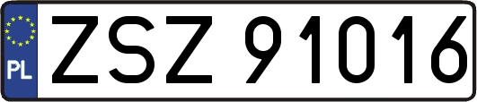 ZSZ91016