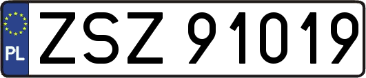 ZSZ91019