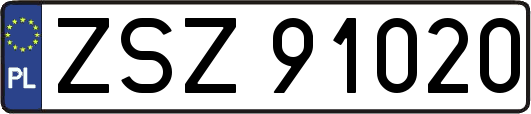 ZSZ91020