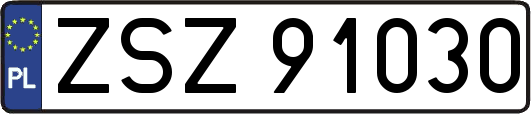 ZSZ91030