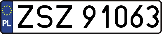 ZSZ91063