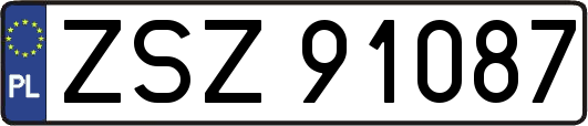ZSZ91087
