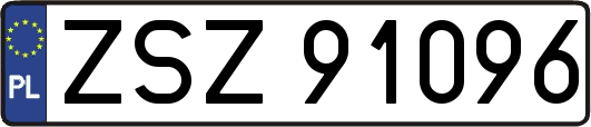 ZSZ91096