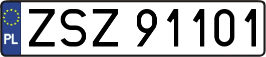 ZSZ91101