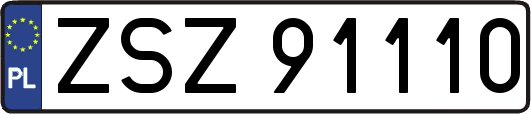 ZSZ91110