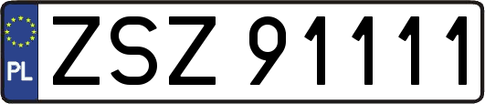 ZSZ91111