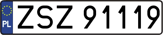 ZSZ91119