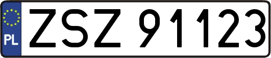 ZSZ91123