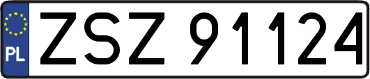 ZSZ91124