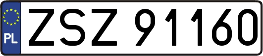 ZSZ91160