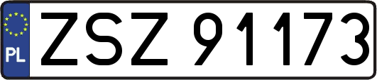 ZSZ91173
