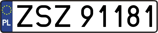 ZSZ91181