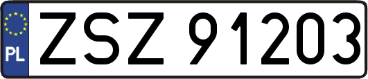 ZSZ91203