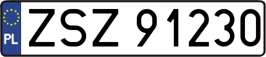 ZSZ91230