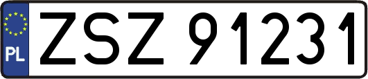 ZSZ91231