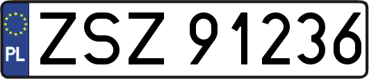 ZSZ91236