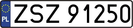 ZSZ91250