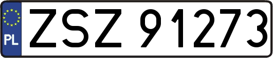 ZSZ91273