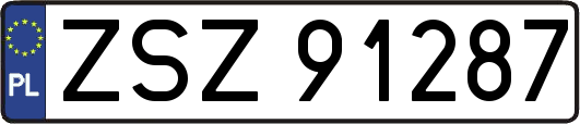 ZSZ91287
