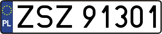 ZSZ91301