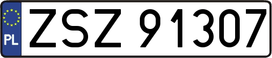 ZSZ91307