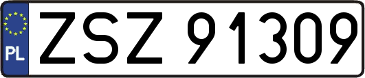 ZSZ91309
