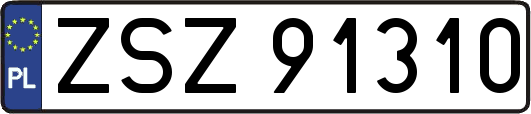 ZSZ91310