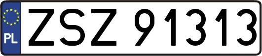 ZSZ91313
