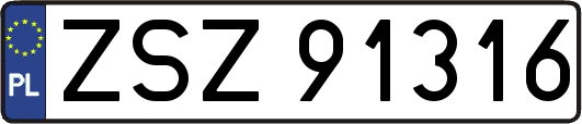 ZSZ91316