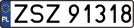 ZSZ91318