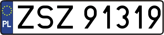 ZSZ91319