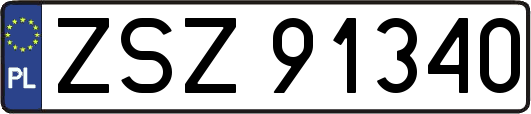 ZSZ91340