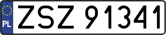 ZSZ91341