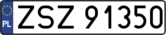 ZSZ91350