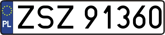 ZSZ91360