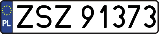 ZSZ91373