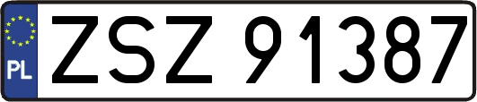 ZSZ91387