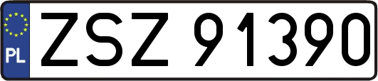 ZSZ91390